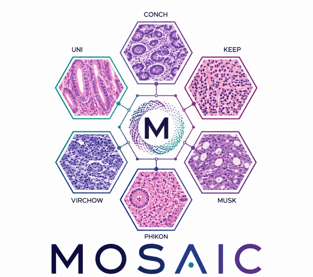 MOSAIC illustration connecting UNI, CONCH, KEEP, VIRCHOW, MUSK, and PHIKON pathology foundation models around a shared representation.